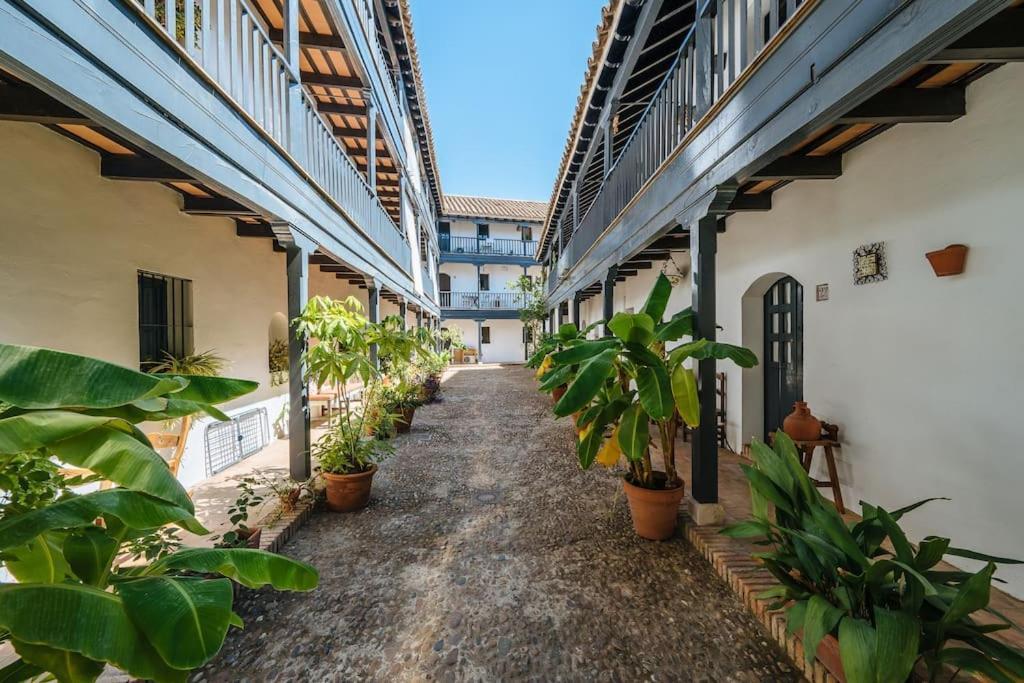 New In Traditional Building Of The Xvi Century Apartamento